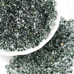 Spray Painted with Glitter Powder Glass Seed Beads&nbsp;SEED-T007-09C