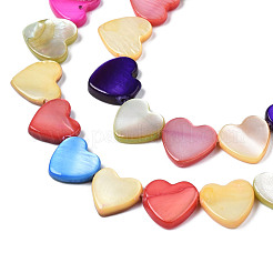 Natural Freshwater Shell Beads Strands&nbsp;SHEL-S278-03B-01
