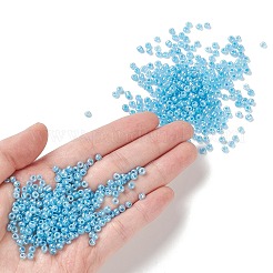 13G 8/0 Glass Seed Beads&nbsp;SEED-XCP0001-05