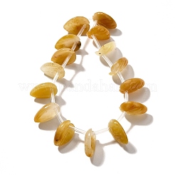 Natural Topaz Jade Beads Strands&nbsp;G-P561-A05-01