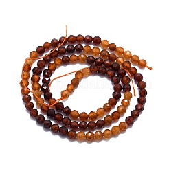 Natural Garnet Beads Strands&nbsp;G-P457-A03-27