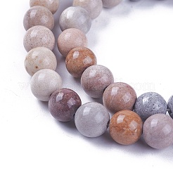 Natural Fossil Coral Beads Strands&nbsp;G-L500-02-6mm