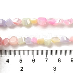 Rainbow Color Dyed Natural Freshwater Shell Beads Strands&nbsp;SHEL-G018-02E