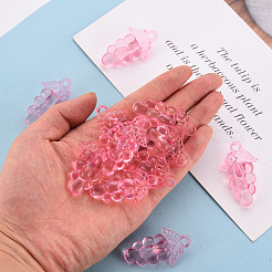 Autumn Theme Transparent Acrylic Beads&nbsp;TACR-S154-60B-903
