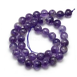 Natural Amethyst Round Bead Strands&nbsp;G-L170-10mm-01