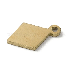 304 Stainless Steel Charms&nbsp;LS-STAS-E501-05G