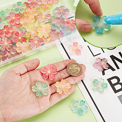 60Pcs 6 Colors Luminous Resin Cabochons&nbsp;RESI-GA0001-30-1