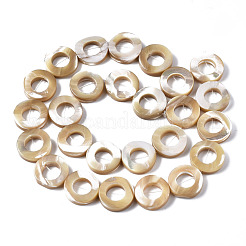 Natural Trochid Shell/Trochus Shell Beads Strands&nbsp;SSHEL-N032-23A-01