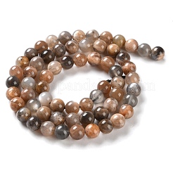 Natural Black Sunstone Beads Strands&nbsp;G-U009-A01-02