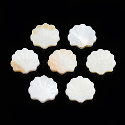 Natural Freshwater Shell Beads&nbsp;X-SHEL-T007-02