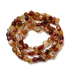 Natural Red Agate Beads Strands&nbsp;G-I389-A37-01B