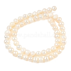 Natural Cultured Freshwater Pearl Beads Strands&nbsp;PEAR-RM241213-2