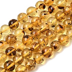 Natural Amber Beads Strands&nbsp;G-K376-H03-01