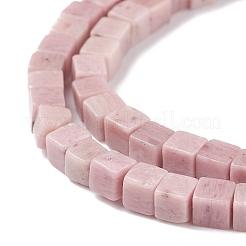 Natural Rhodonite Beads Strands&nbsp;G-F631-K20