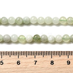 Natural New Jade Beads Strands&nbsp;G-K340-A01-4mm