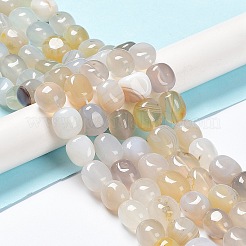 Natural Banded/Striped Agate Beads Strands&nbsp;G-C038-02F