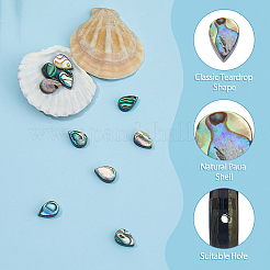 10Pcs Abalone Shell/Paua Shell Beads&nbsp;SSHEL-FI0001-01