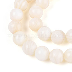 Natural Freshwater Shell Beads Strands&nbsp;SHEL-N038-05