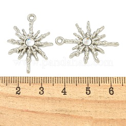 Alloy Pendants&nbsp;FIND-Z061-01P