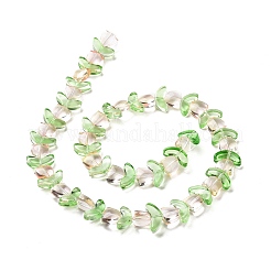Transparent Glass Beads Strands&nbsp;X-LAMP-H061-02A