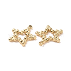 304 Stainless Steel Charms&nbsp;STAS-J400-12G
