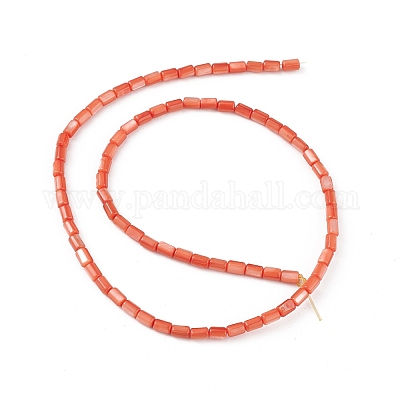 Natural Freshwater Shell Dyed Beads Strands&nbsp;SHEL-M018-12-02-1