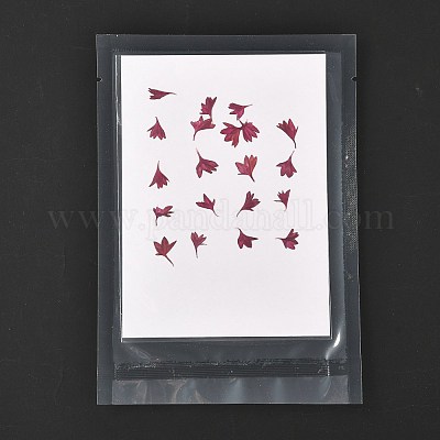 Cornflower Embossing Dry Flower&nbsp;DIY-K032-62A-1