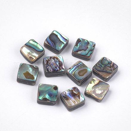 Abalone Shell/Paua Shell Beads&nbsp;SSHEL-T008-02-1