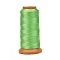Polyester Threads, for Jewelry Making, Lime, 0.2mm, about 1093.61 yards(1000m)/roll