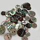 Abalone Shell/Paua Shell&nbsp;X-BSHE-I011-04A-5