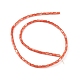 Natural Freshwater Shell Dyed Beads Strands&nbsp;SHEL-M018-12-02-2