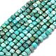 Natural HuBei Turquoise Beads Strands&nbsp;G-G106-G01-01-1