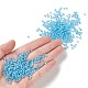 13G 8/0 Glass Seed Beads&nbsp;SEED-XCP0001-05-4