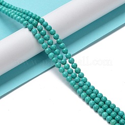 Natural Howlite Beads Strands&nbsp;G-E604-B01