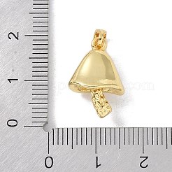 Brass Micro Pave Clear Cubic Zirconia Pendants&nbsp;KK-P273-06G