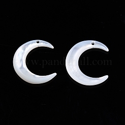 Natural Freshwater Shell Charms&nbsp;SSHEL-N032-55A