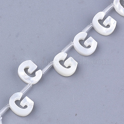 Sea Shell Beads&nbsp;X-SHEL-T012-60G