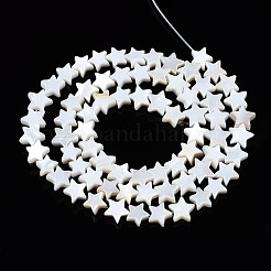 Natural Freshwater Shell Beads Strands&nbsp;SHEL-Q024-018