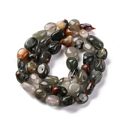 Natural Africa Bloodstone Beads Strands&nbsp;G-G146-A22-01