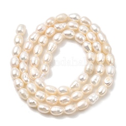Natural Cultured Freshwater Pearl Beads Strands&nbsp;PEAR-I007-01Q-01C
