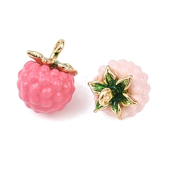 Alloy Enamel Charms&nbsp;FIND-G101-03G-01
