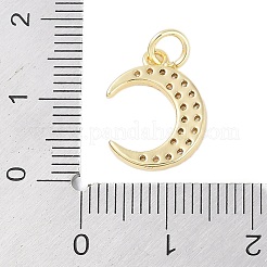 Rack Plating Brass Micro Pave Clear Cubic Zirconia Charms&nbsp;KK-Z060-09G-03