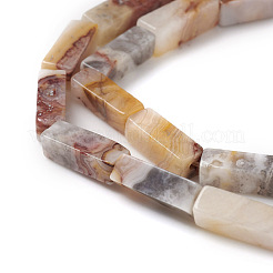 Natural Crazy Lace Agate Beads Strands&nbsp;G-G837-04