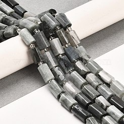 Natural Eagle Eye Stone Beads Strands&nbsp;G-G068-A24-01