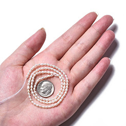 Natural Cultured Freshwater Pearl Beads Strands&nbsp;PEAR-N012-02G