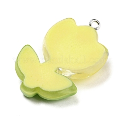 Translucent Resin Pendants&nbsp;LS-RESI-G078-01E
