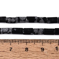 Natural Snowflake Obsidian Beads Strands&nbsp;GG-N002-01A-05