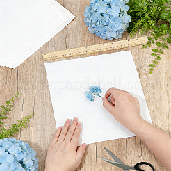 Dried Embossed Paper&nbsp;DIY-WH0622-646C