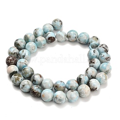 Natural Larimar Beads Strands&nbsp;G-L642-B19-10mm
