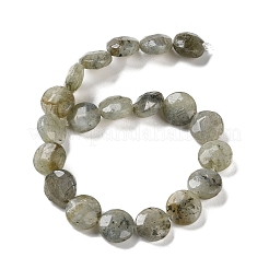 Natural Labradorite Beads Strands&nbsp;G-K357-B03-01